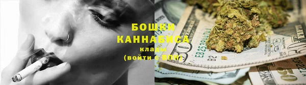 дживик Бородино