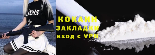 дживик Бородино