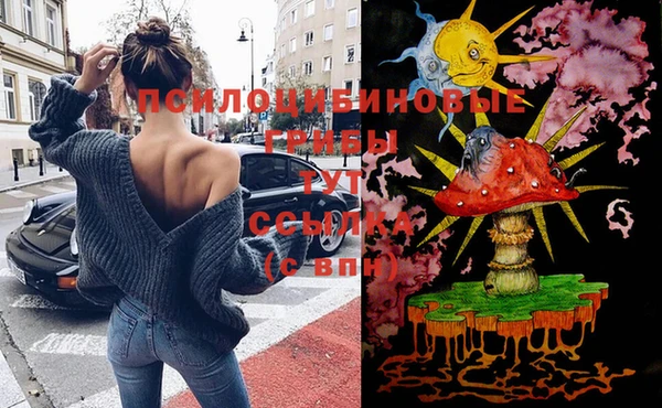 mdpv Бронницы