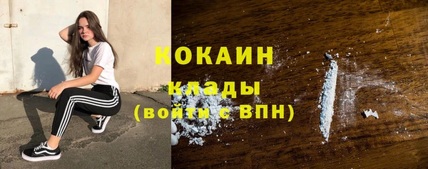 дживик Бородино