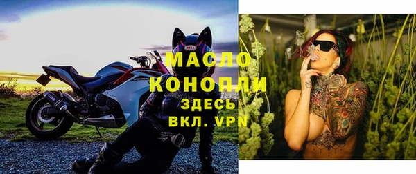 дживик Бородино