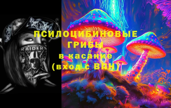 мескалин Богородицк