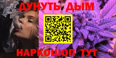 стаф Дубна