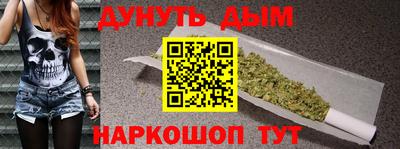стаф Дубна