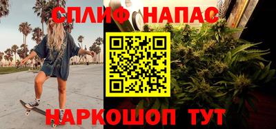 стаф Дубна