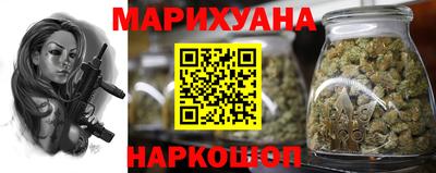 стаф Дубна