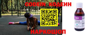 стаф Дубна