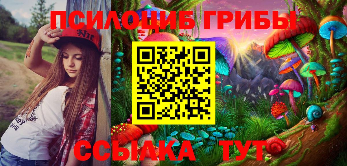 Галлюциногенные грибы Cubensis  Вход с VPN  Верхняя Пышма 